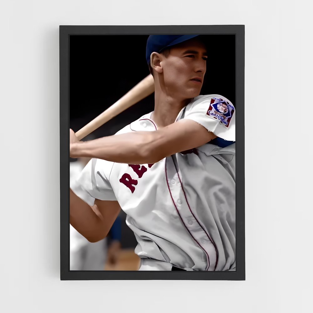 ap-ted williams-1 cadre Noir