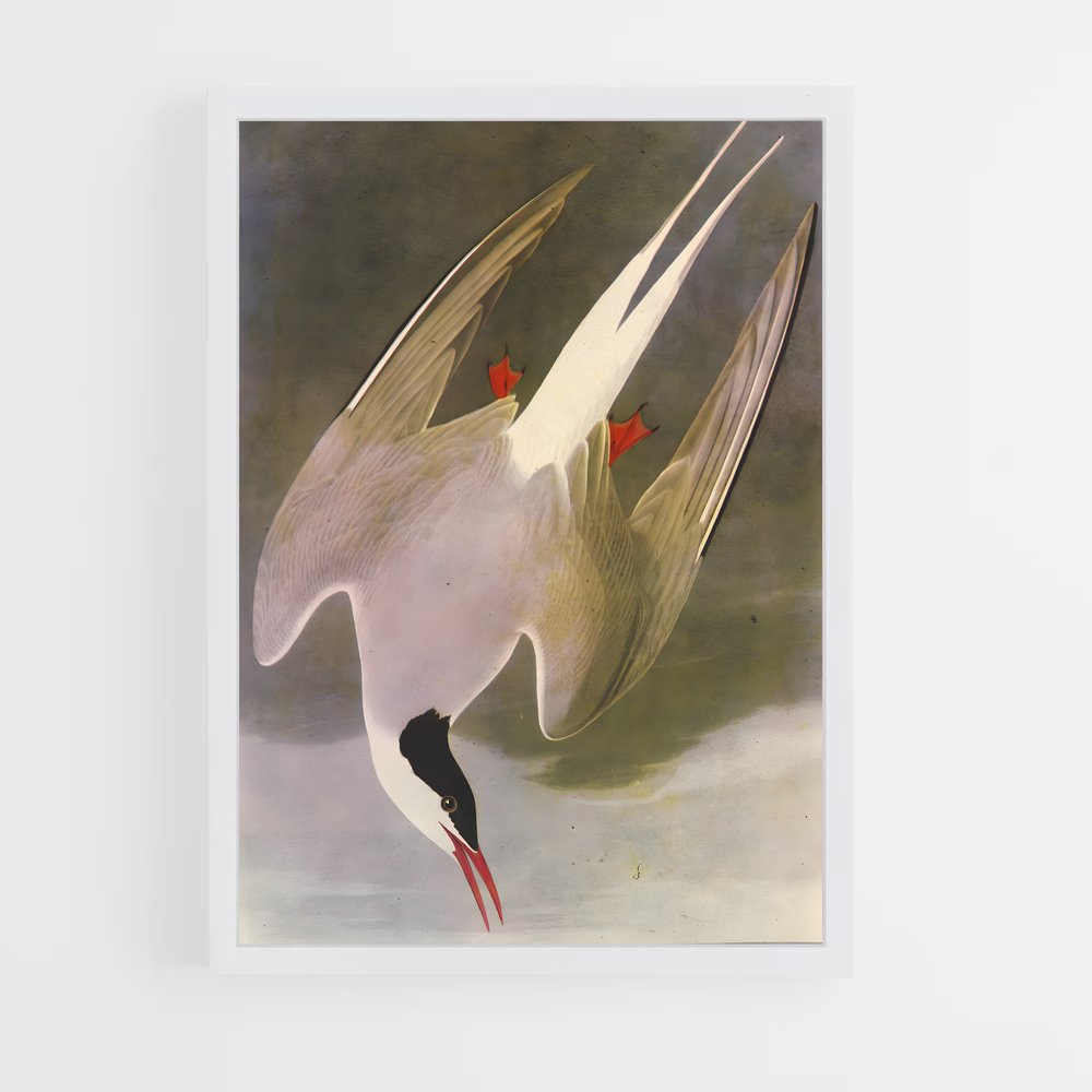 ap-tern-3 cadre Blanc