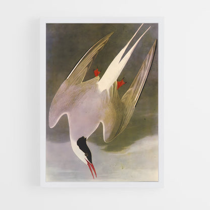 ap-tern-3 cadre Blanc