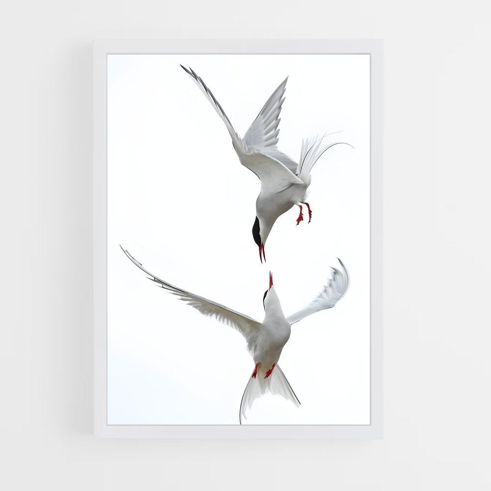 ap-tern-5 cadre Blanc