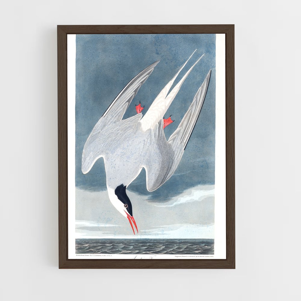 ap-tern-6 cadre Bois foncé