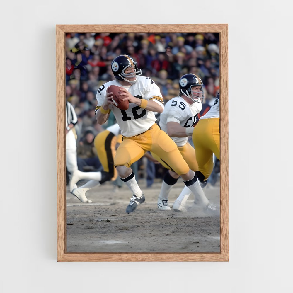 ap-terry bradshaw-4 cadre Bois clair