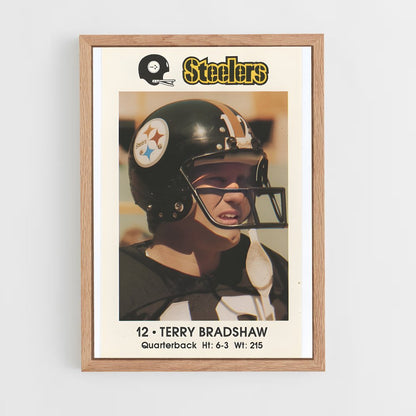 ap-terry bradshaw-5 cadre Bois clair