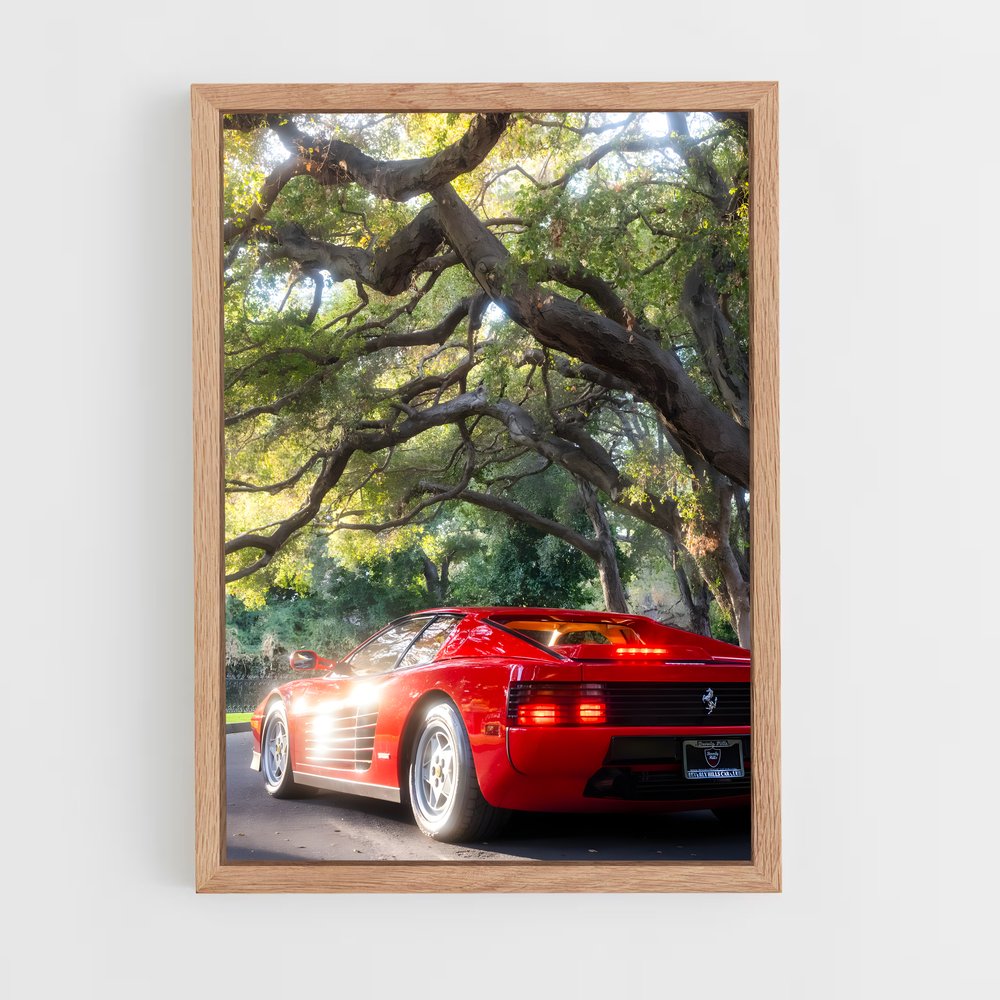 ap-testarossa-1 cadre Bois clair