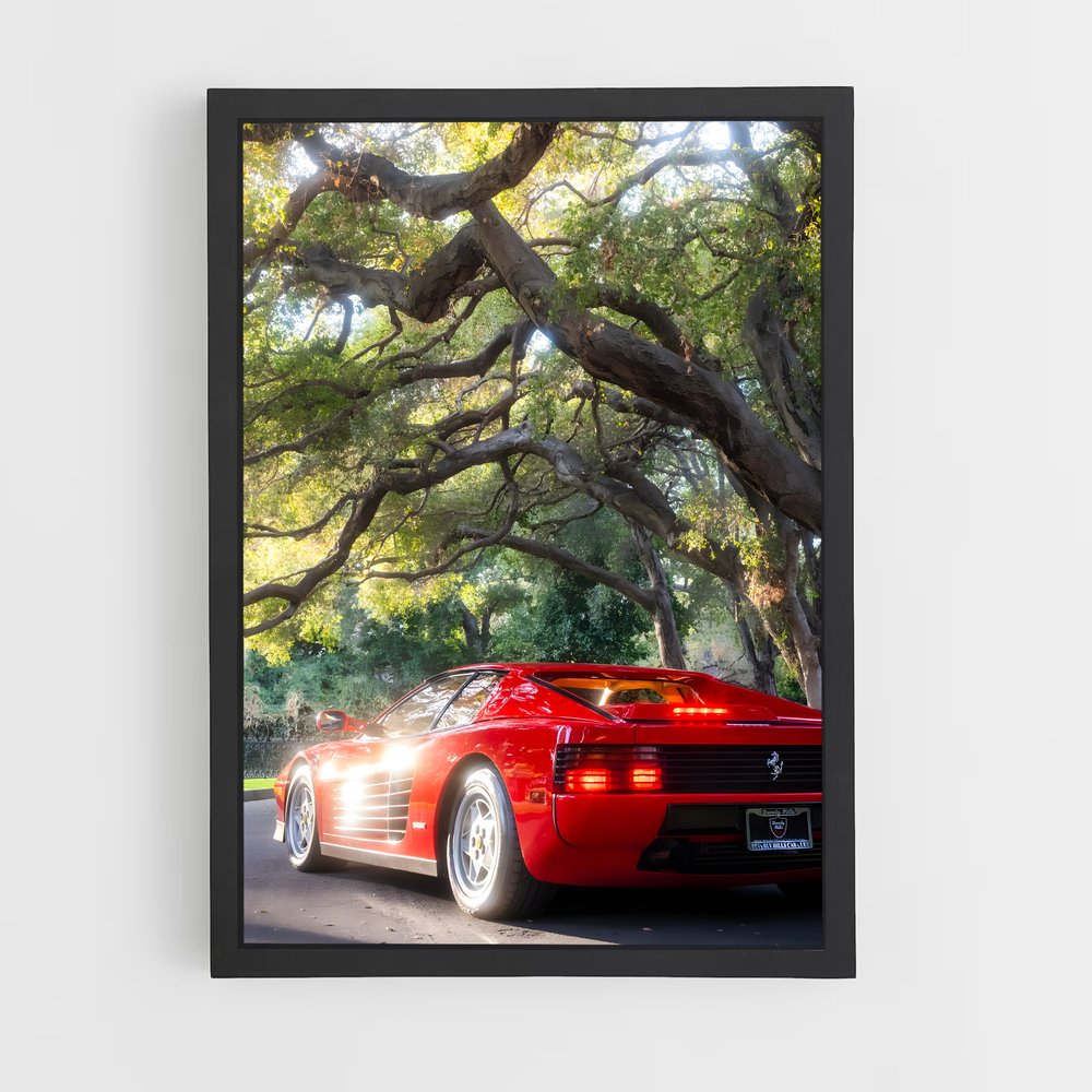 ap-testarossa-1 cadre Noir