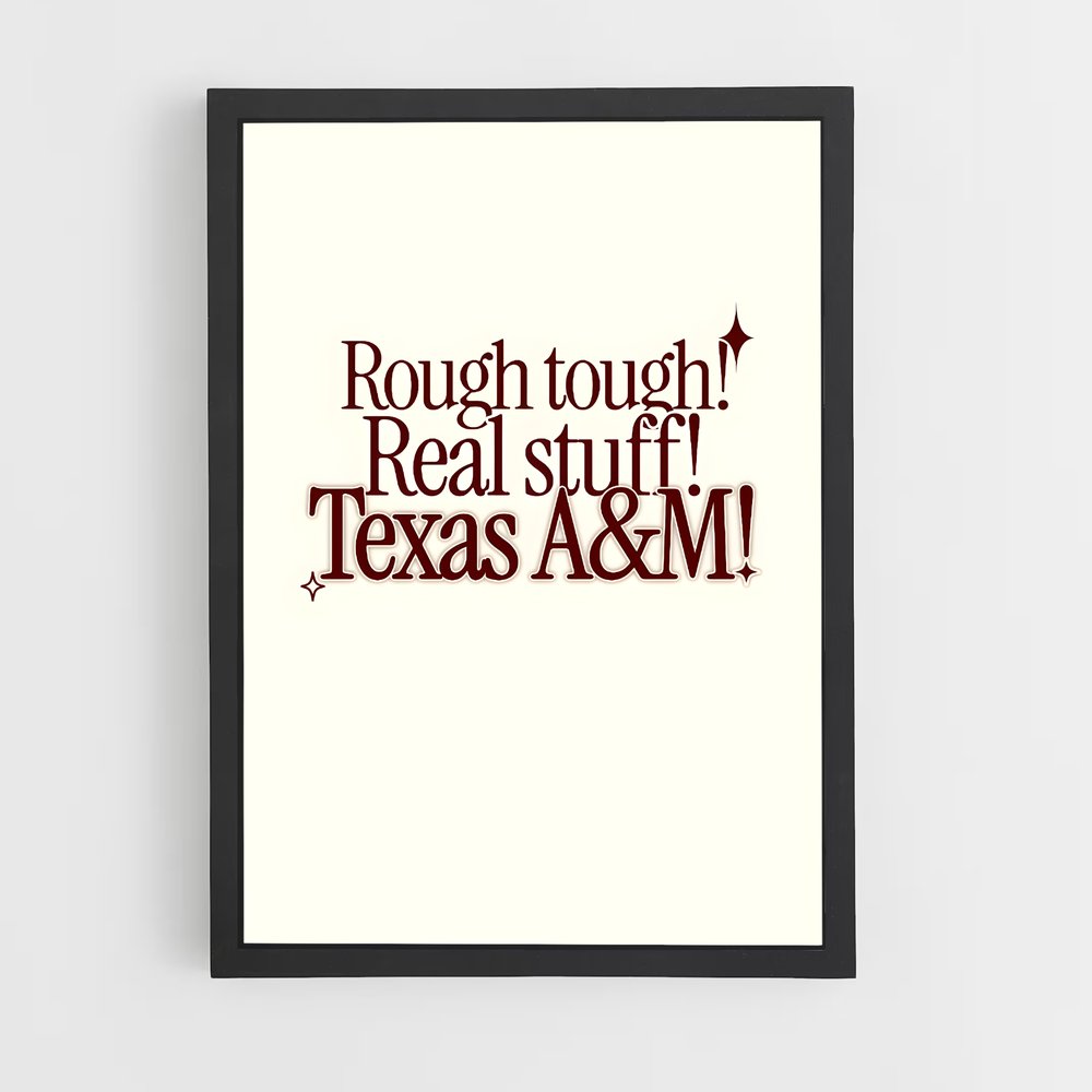 ap-texas aandm aggies-9 cadre Noir