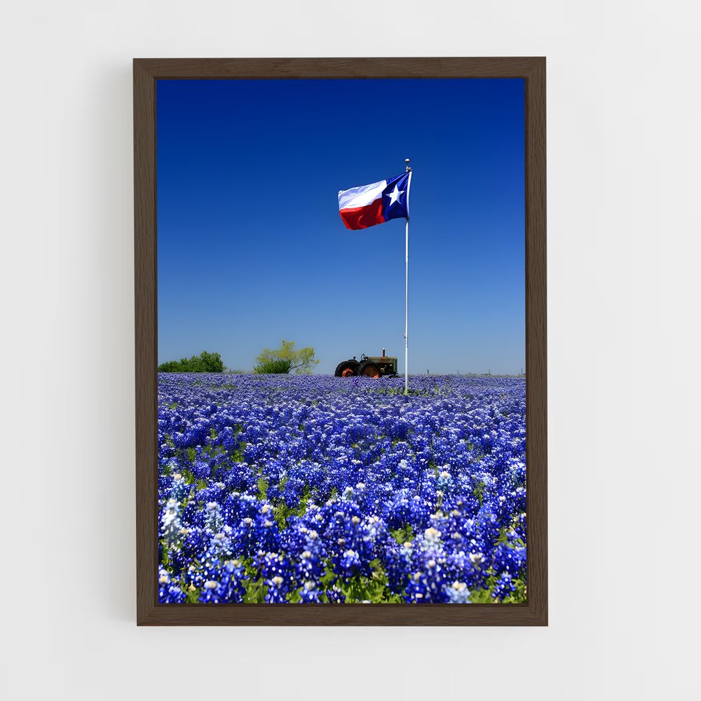 ap-texas flag-1 cadre Bois foncé