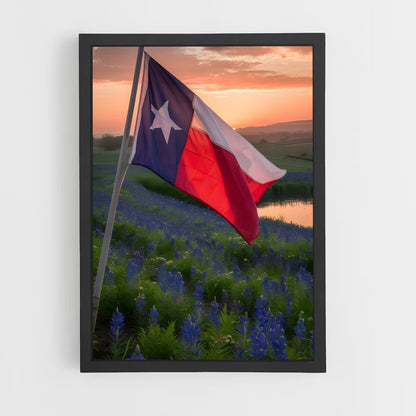 ap-texas flag-2 cadre Noir