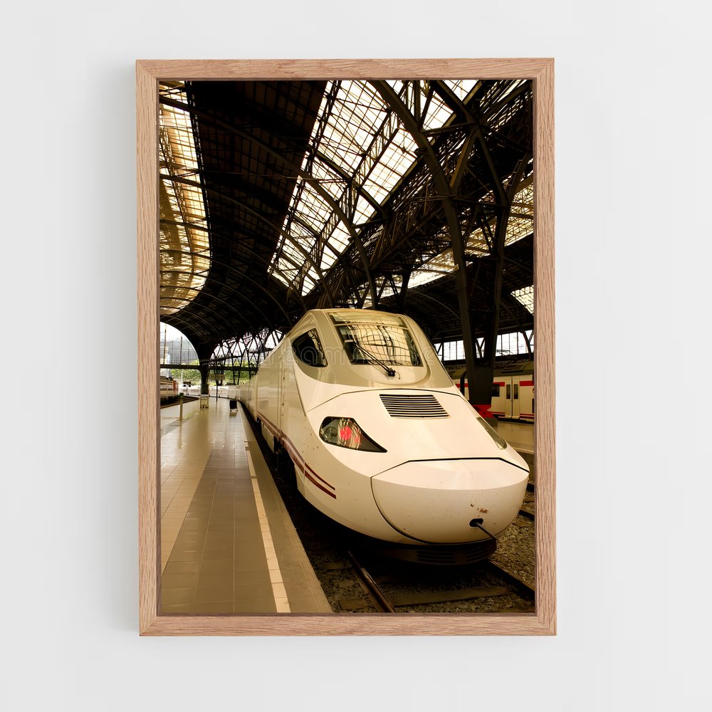 ap-tgv france-2 cadre Bois clair