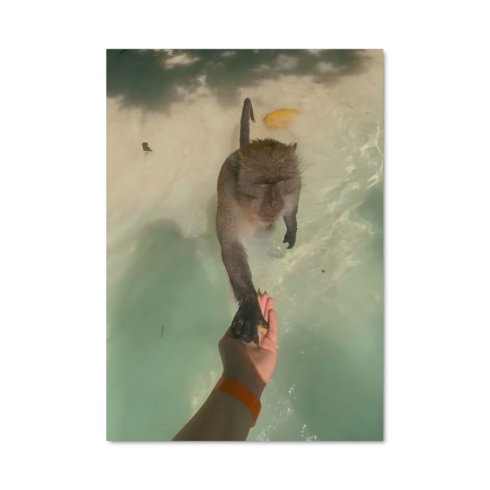 Poster Banane Aquatique