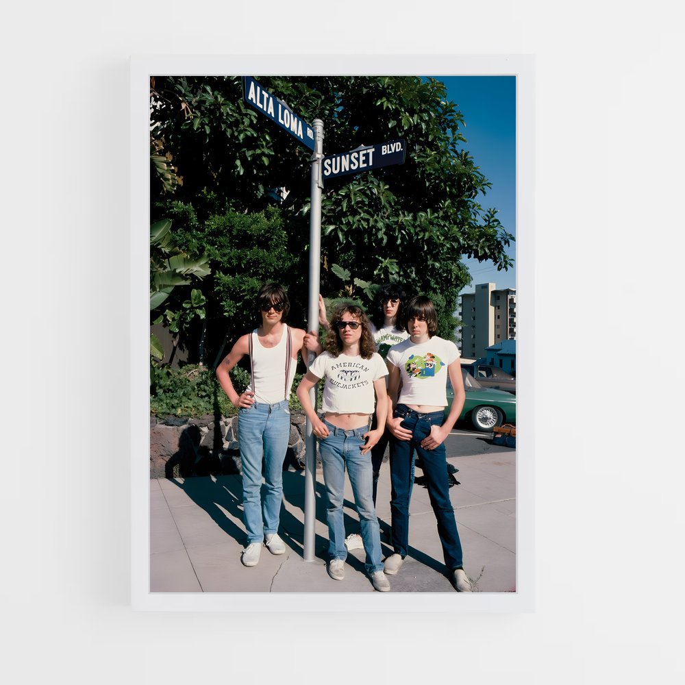 ap-the ramones-3 cadre Blanc