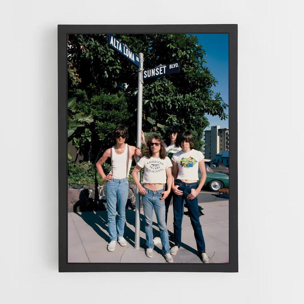 ap-the ramones-3 cadre Noir