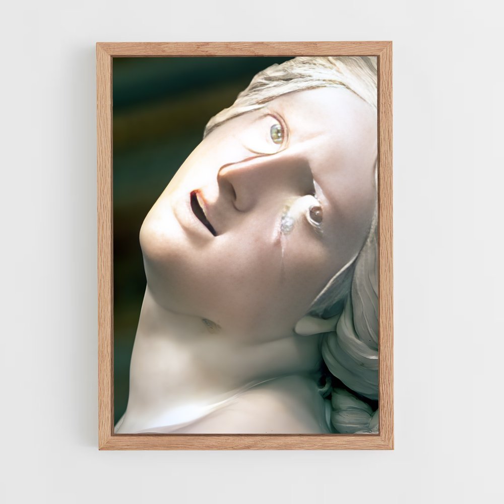 ap-the rape of proserpina bernini-2 cadre Bois clair