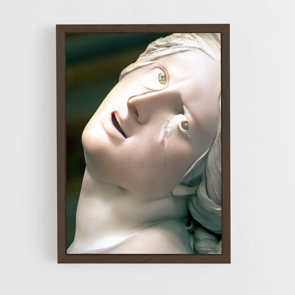 ap-the rape of proserpina bernini-2 cadre Bois foncé