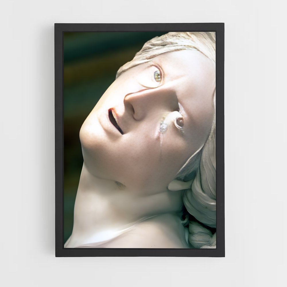 ap-the rape of proserpina bernini-2 cadre Noir