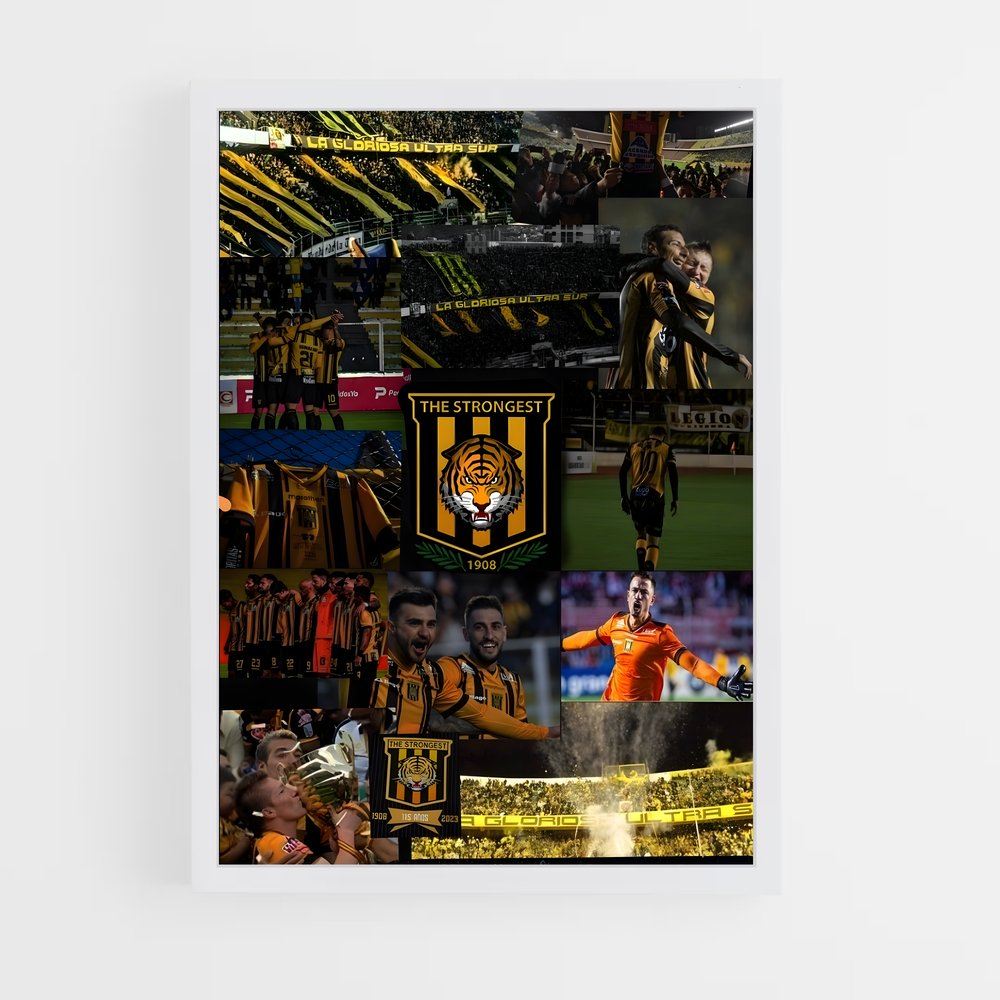 ap-the strongest bolivia football club-2 cadre Blanc