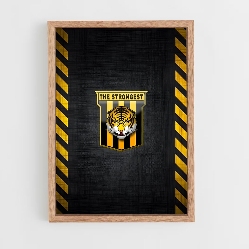 ap-the strongest bolivia football club-3 cadre Bois clair