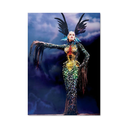Poster Plumes et Éclats