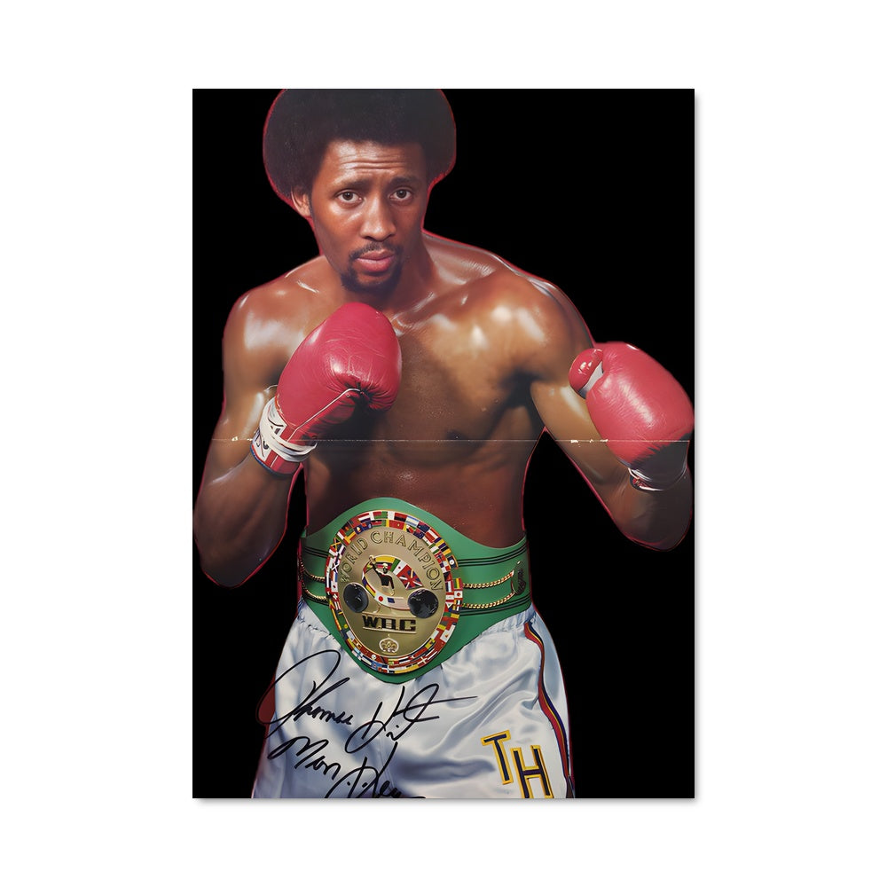 Poster Legend in the Ring