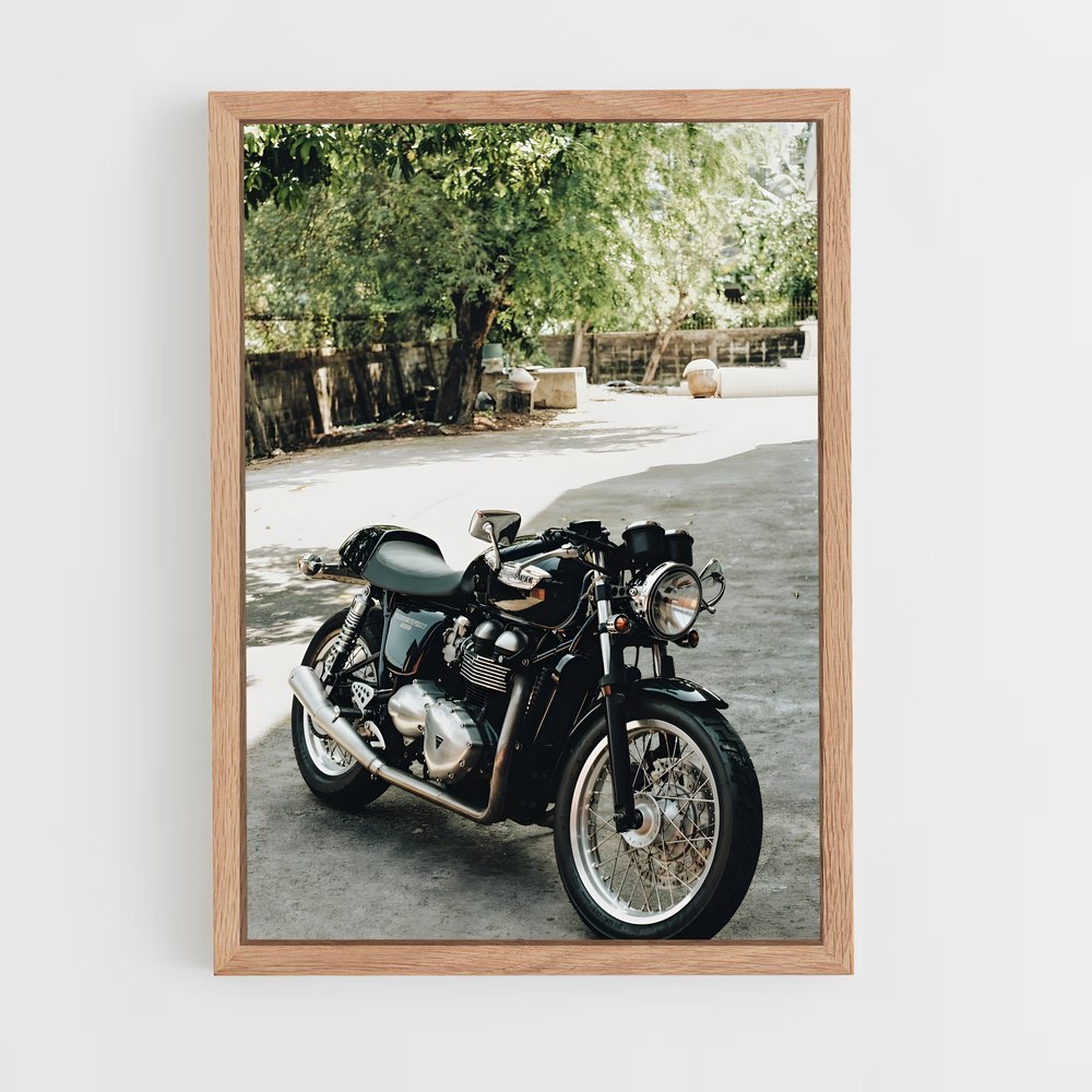 ap-thruxton-1 cadre Bois clair