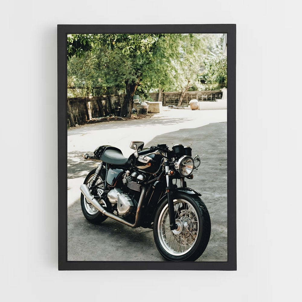 ap-thruxton-1 cadre Noir