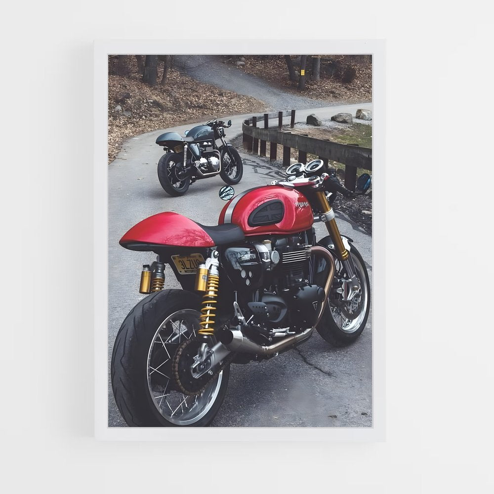 ap-thruxton rs-4 cadre Blanc