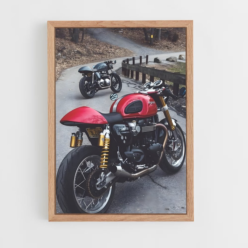ap-thruxton rs-4 cadre Bois clair