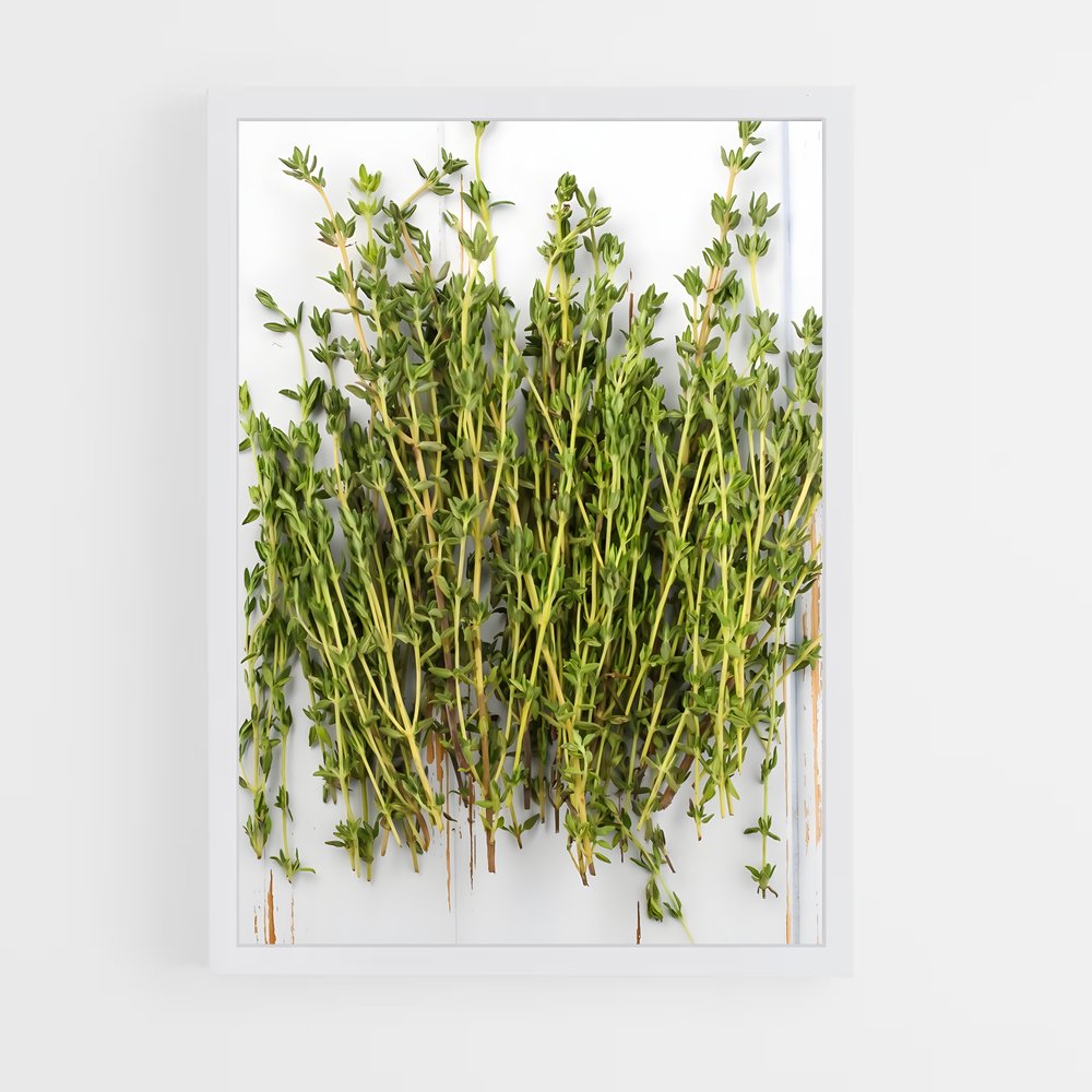 ap-thyme-3 cadre Blanc