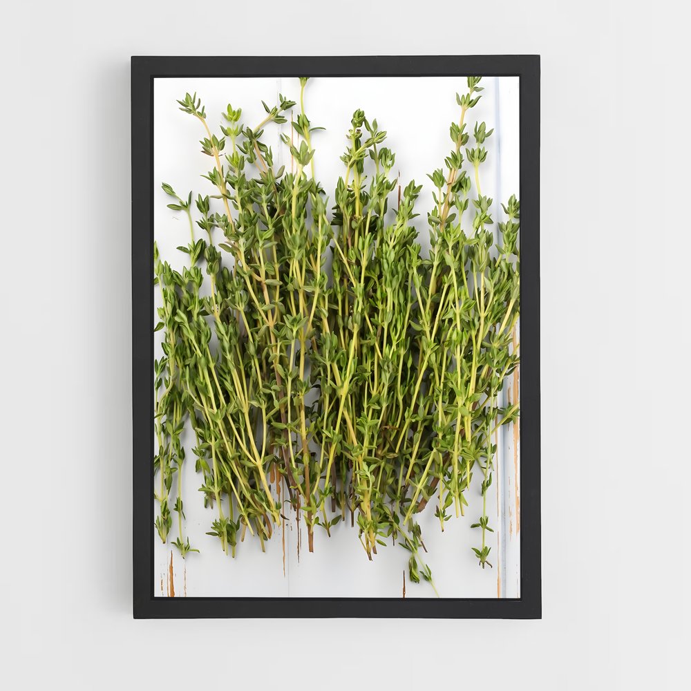 ap-thyme-3 cadre Noir