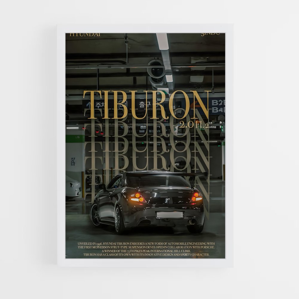 ap-tiburon v6-2 cadre Blanc