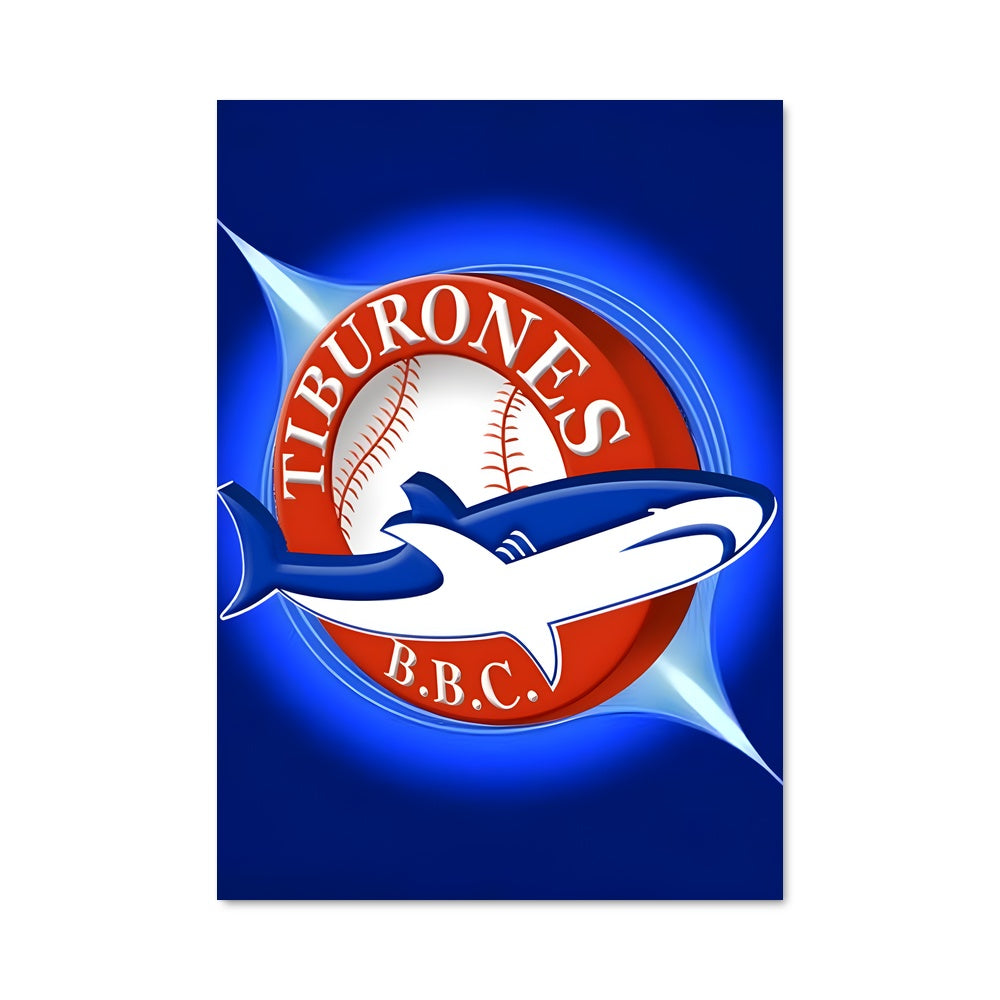 Poster Sharkball Blitz