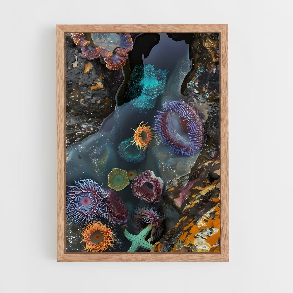 ap-tide pool-1 cadre Bois clair