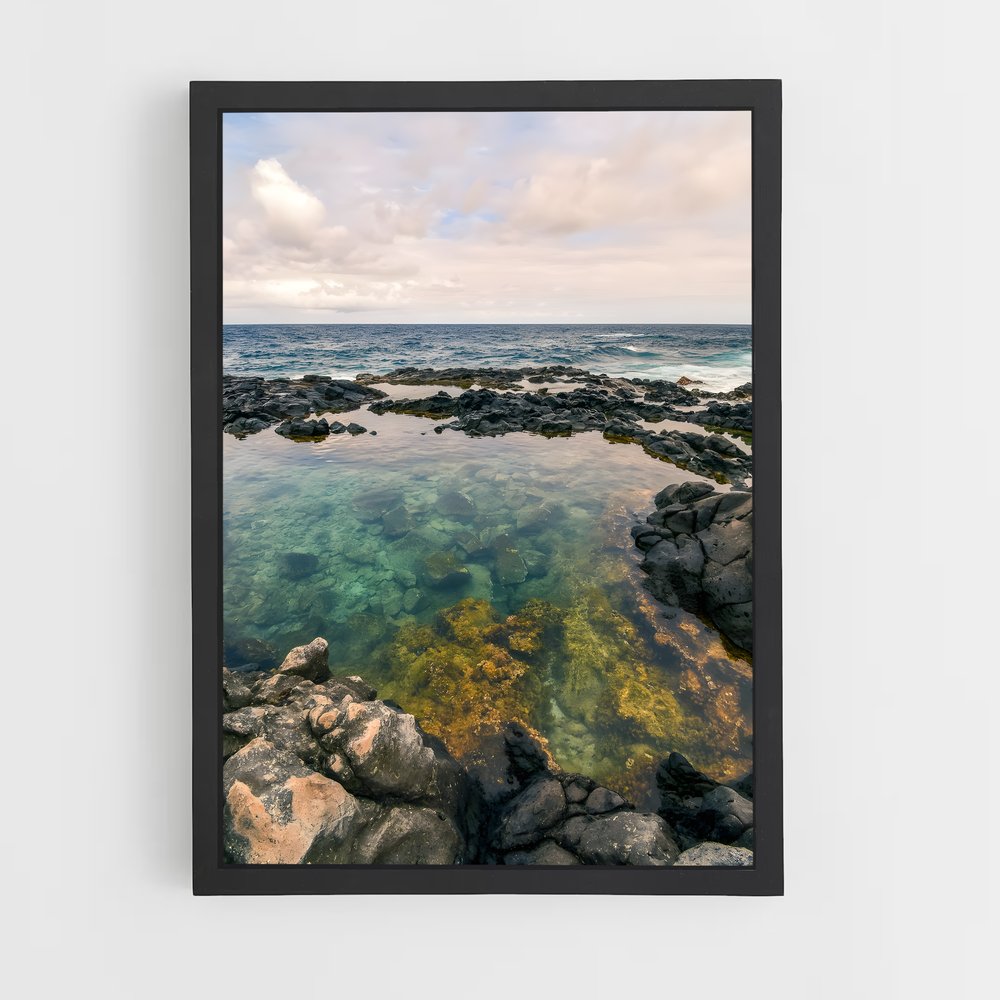 ap-tide pool-2 cadre Noir