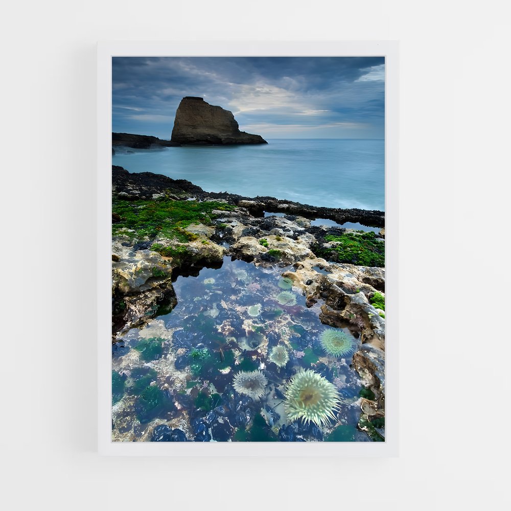 ap-tide pool-7 cadre Blanc