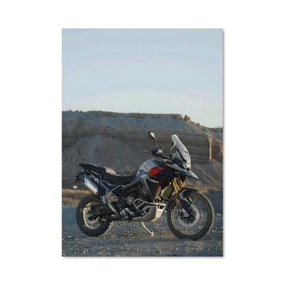 Poster Tiger 900 82837