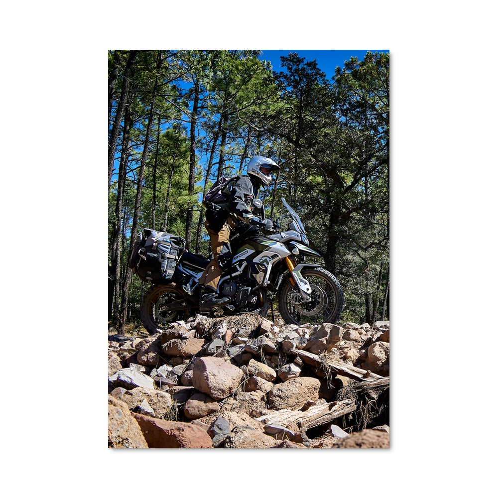 Poster Tiger 900 rally 82840