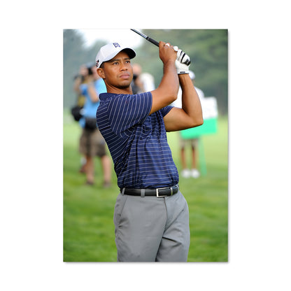 Poster Tiger woods 66396
