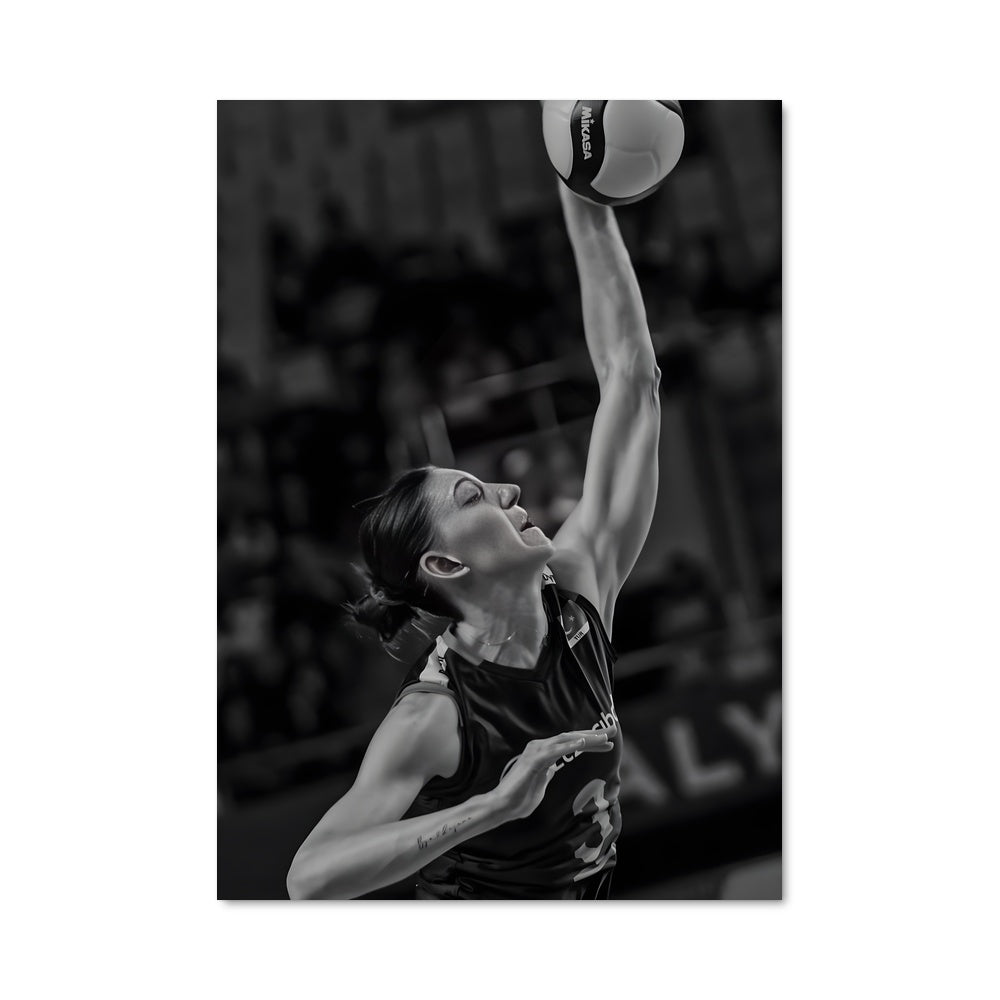 Poster Tijana boskovic 75034