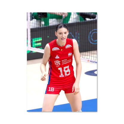 Poster Ace de Volleyball