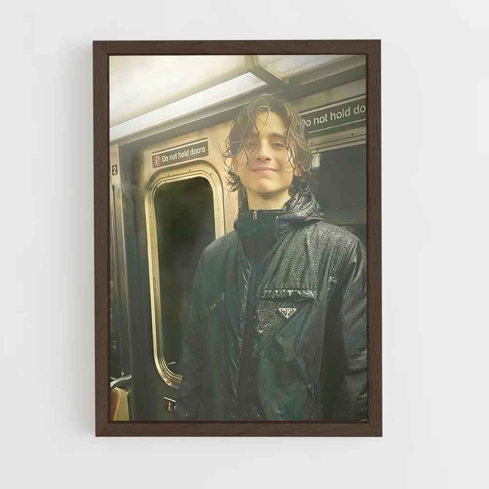 ap-timothee chalamet-3 cadre Bois foncé