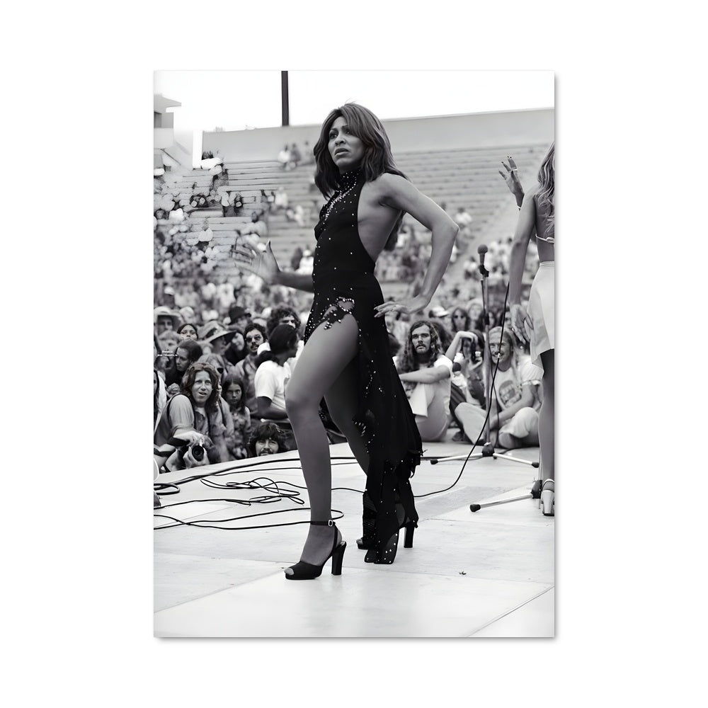 Poster Tina turner 52701