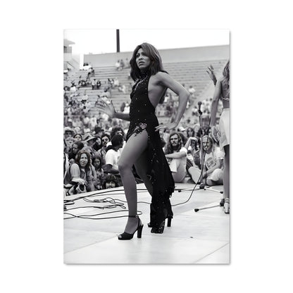 Poster Tina turner 52701
