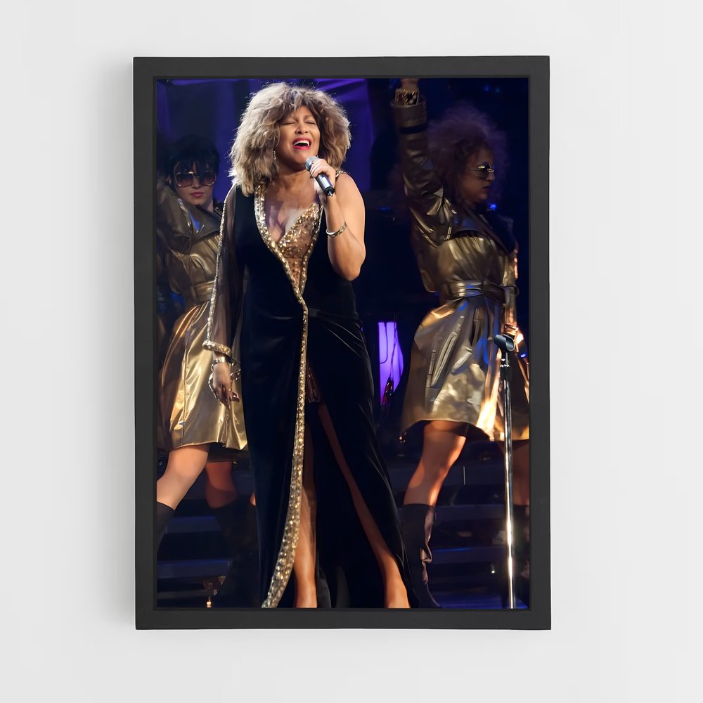 ap-tina turner-3 cadre Noir
