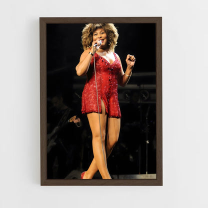 ap-tina turner-6 cadre Bois foncé