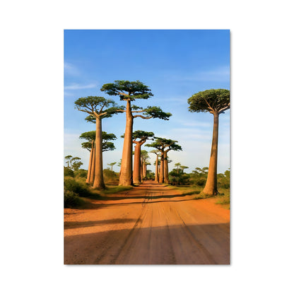 Poster Route des Baobabs