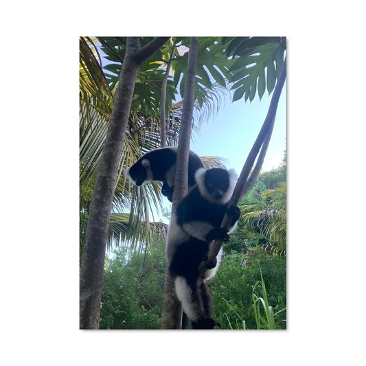 Poster Panda Grimpant