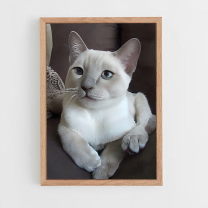 ap-tonkinese-1 cadre Bois clair
