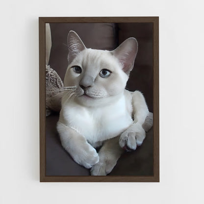 ap-tonkinese-1 cadre Bois foncé