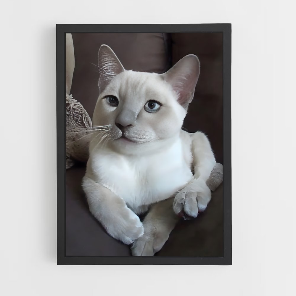 ap-tonkinese-1 cadre Noir