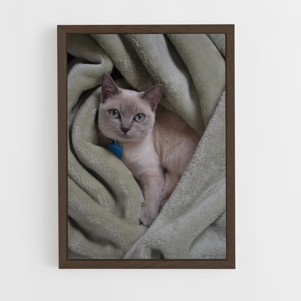 ap-tonkinese-2 cadre Bois foncé